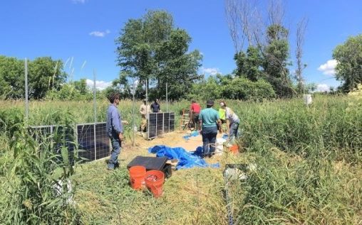 BREE researchers put up solar panels in the wetland site.